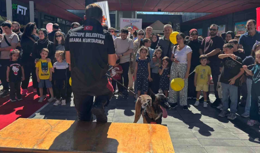 İstanbul'da Maltepe Belediyesi Afet İşleri ve Risk Yönetimi Müdürlüğü bünyesinde
