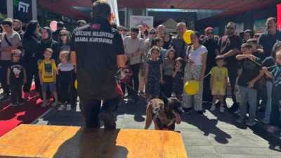 İstanbul'da Maltepe Belediyesi Afet İşleri ve Risk Yönetimi Müdürlüğü bünyesinde