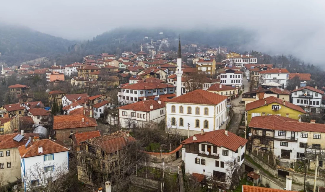 Türkiye Turizm Tanıtım ve Geliştirme Ajansı (TGA), GoTürkiye markası altında