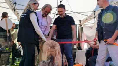 Bursa Büyükşehir Belediyesi, can dostların yaşam koşullarını iyileştirmek ve sahiplendirmeyi