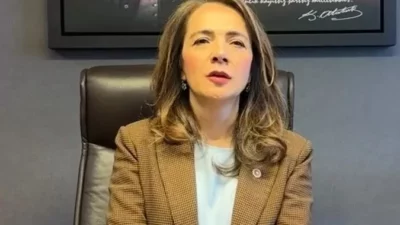 CHP Genel Başkan Yardımcısı Gamze Akkuş İlgezdi, Ulusal Taşıt Tanıma