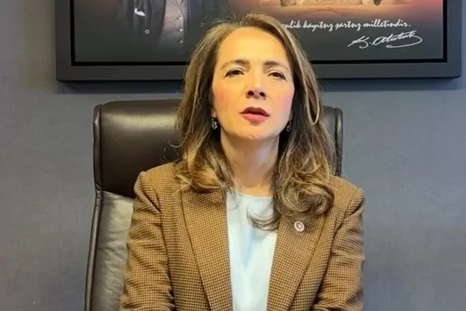 CHP Genel Başkan Yardımcısı Gamze Akkuş İlgezdi, Ulusal Taşıt Tanıma