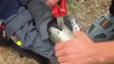 Kayseri Büyükşehir Belediyesi İtfaiye Daire Başkanlığı ekipleri, Hacılar ilçesinde kafası