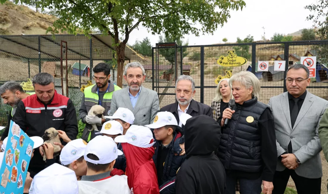 4 Ekim Hayvanları Koruma Günü, Talas Pati Evi Doğal Yaşam
